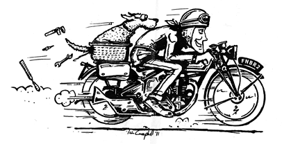 rick and finbar the dog on a motorbike - illustration